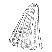 Ladies' Nine-Gored Skirt: Circa 1909