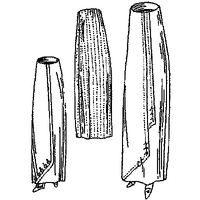 Ladies' Three-Piece Skirt