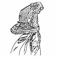 Dressy Bonnet