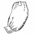 Basic UnderSleeve Sleeve Crinoline