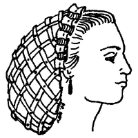 Net for the Hair