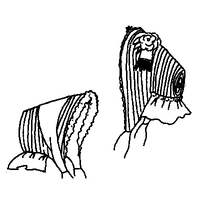 Straw Bonnet