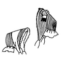 Straw Bonnet